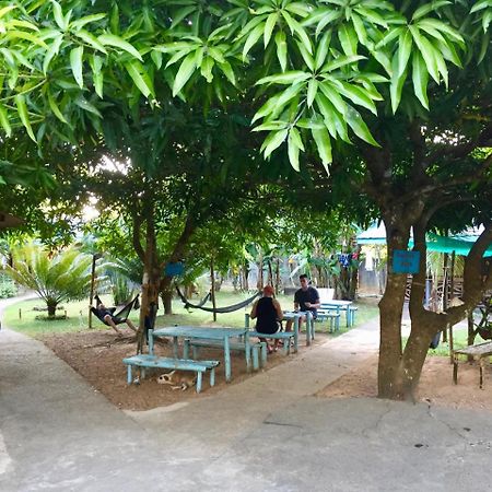 كورون Fat Monkey Hostel المظهر الخارجي الصورة