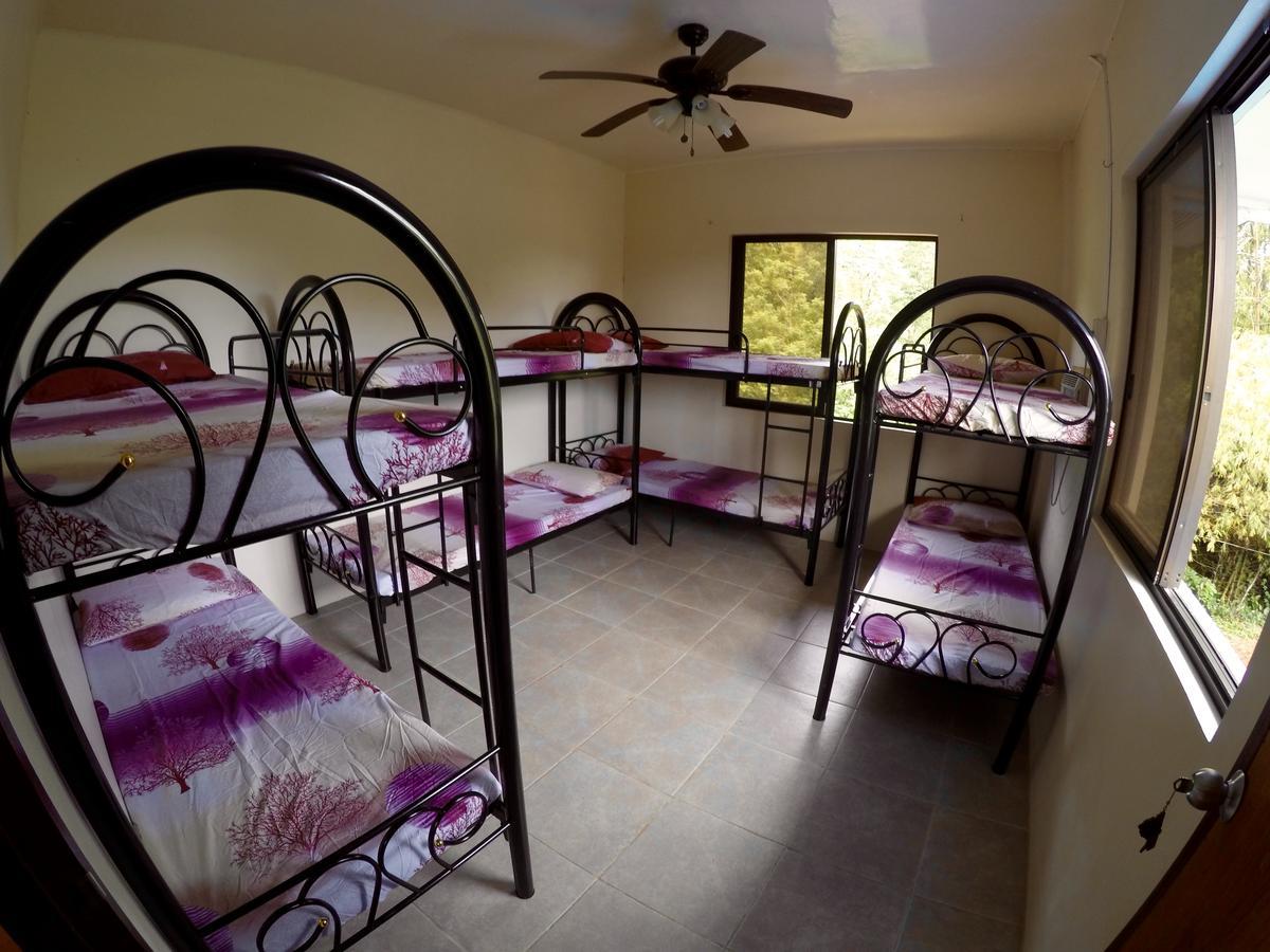 كورون Fat Monkey Hostel المظهر الخارجي الصورة