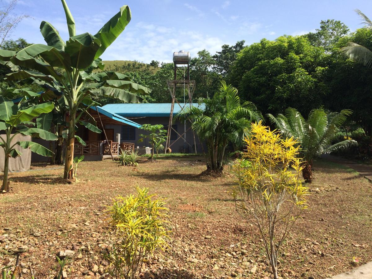 كورون Fat Monkey Hostel المظهر الخارجي الصورة