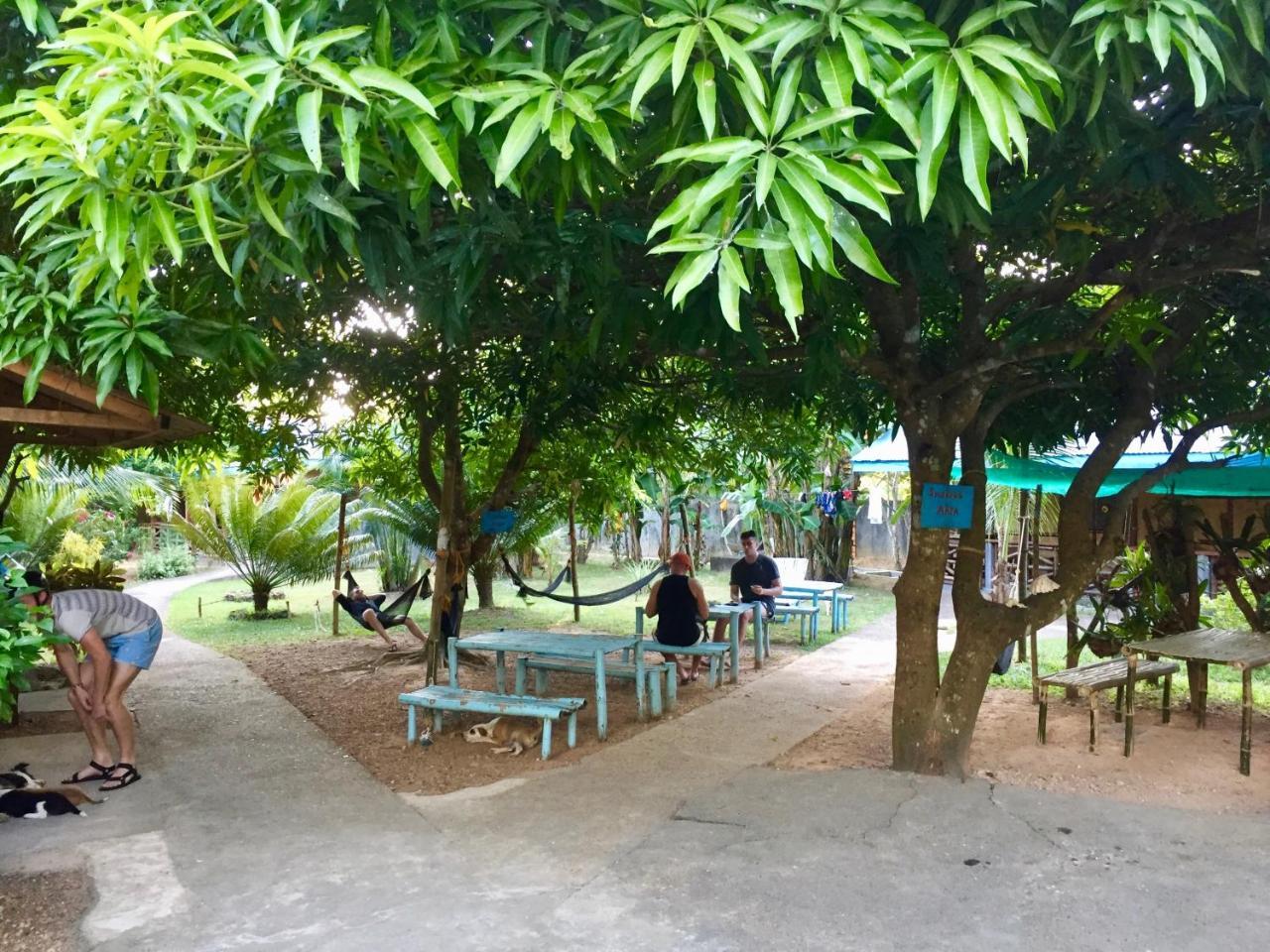 كورون Fat Monkey Hostel المظهر الخارجي الصورة