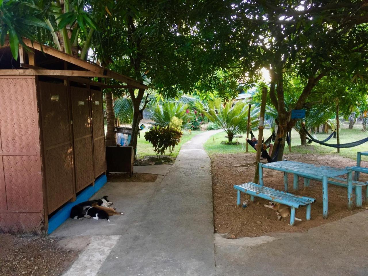 كورون Fat Monkey Hostel المظهر الخارجي الصورة