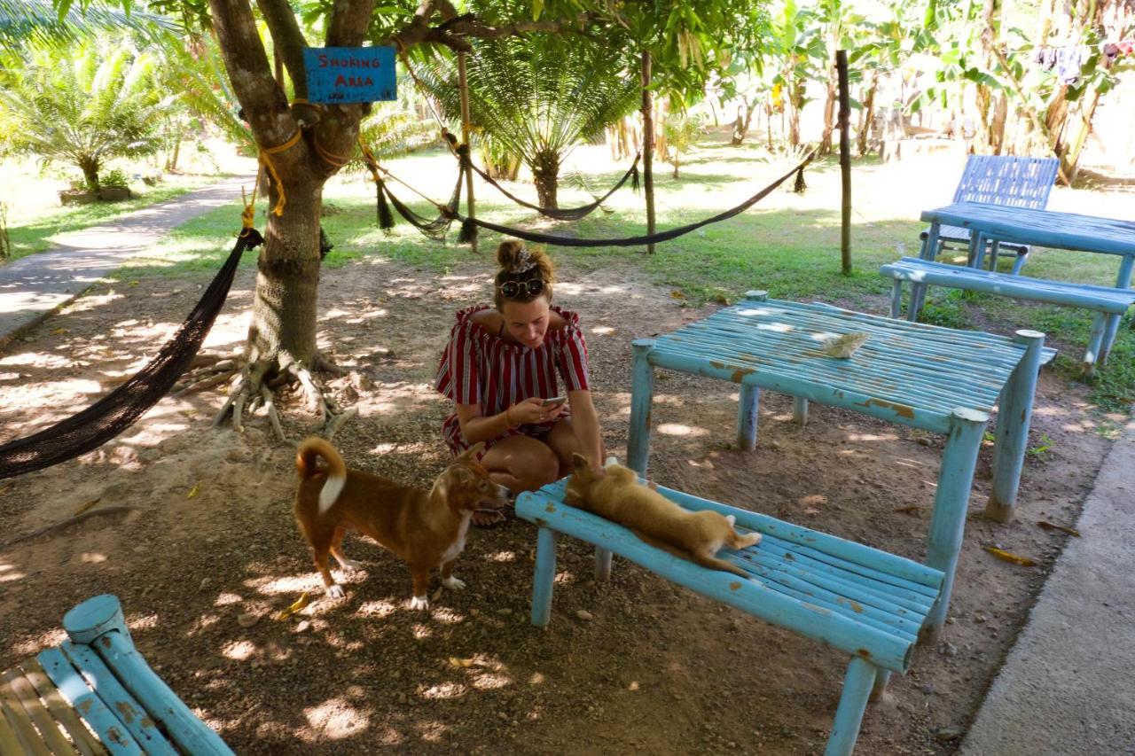 كورون Fat Monkey Hostel المظهر الخارجي الصورة