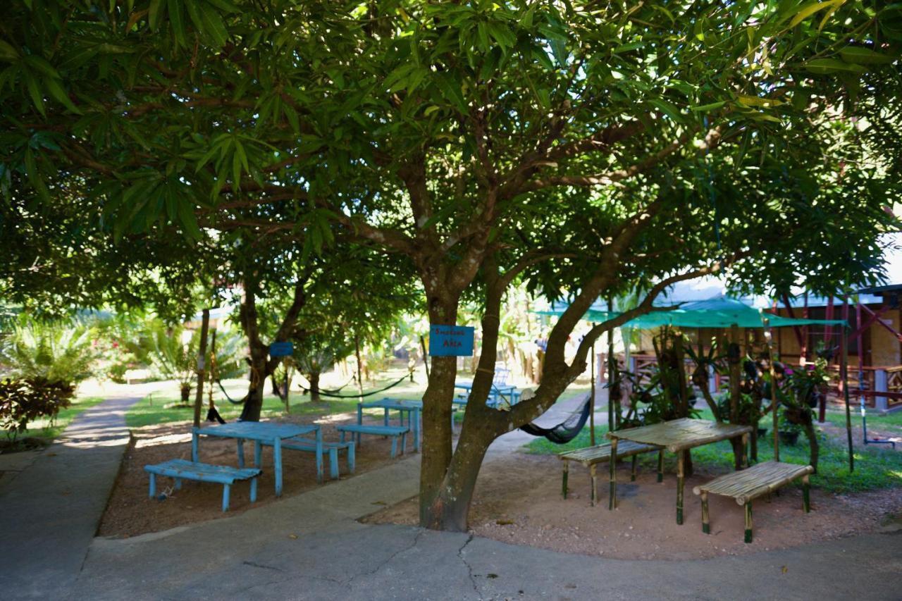 كورون Fat Monkey Hostel المظهر الخارجي الصورة