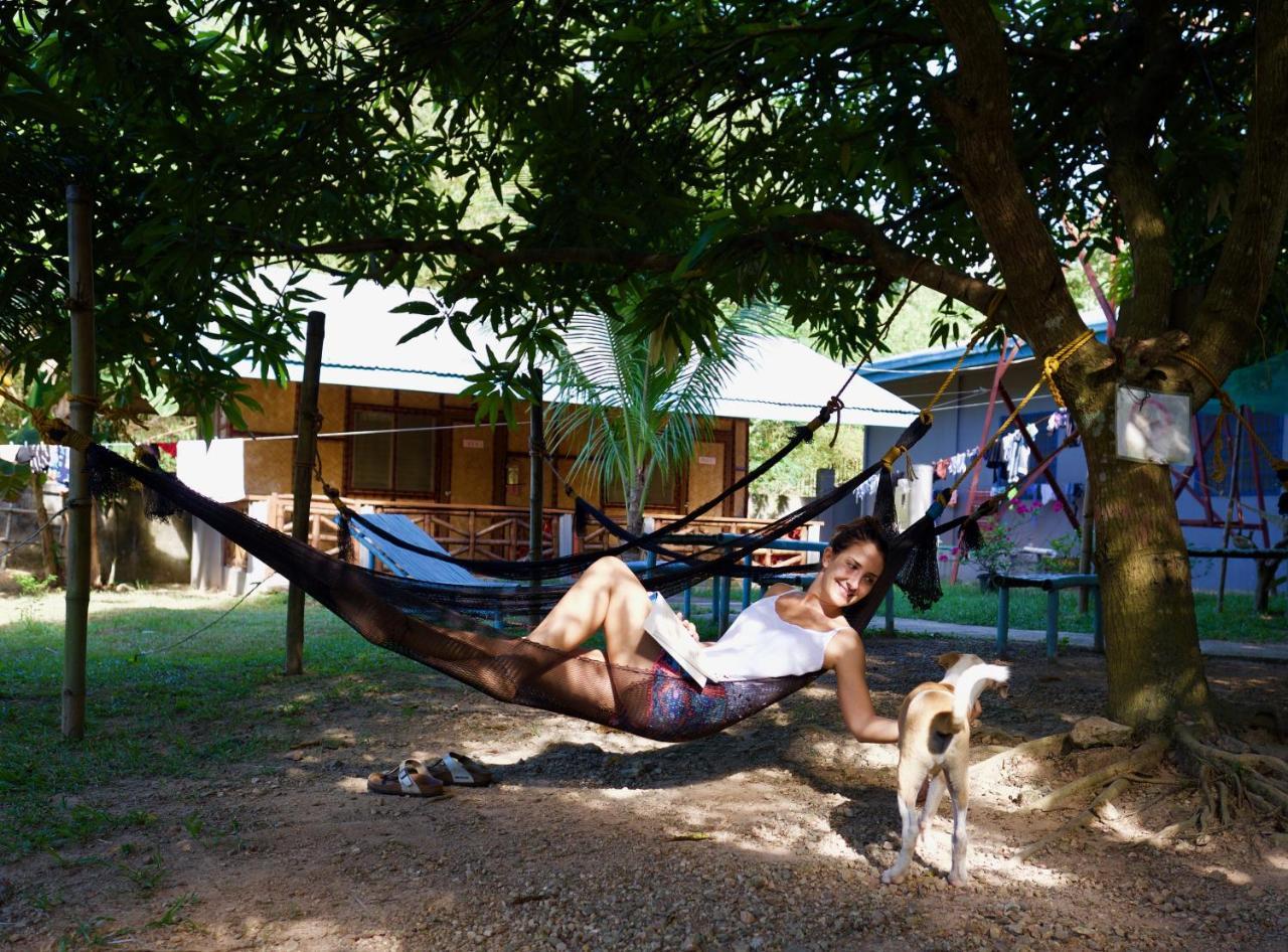 كورون Fat Monkey Hostel المظهر الخارجي الصورة