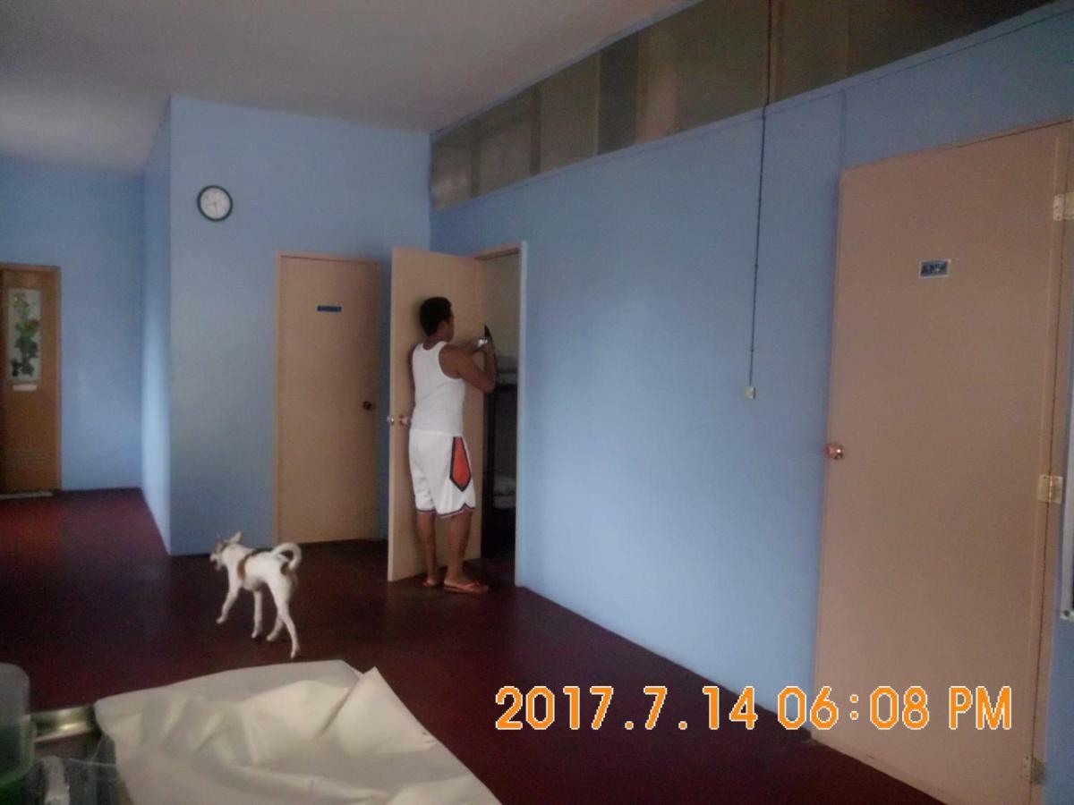 كورون Fat Monkey Hostel المظهر الخارجي الصورة